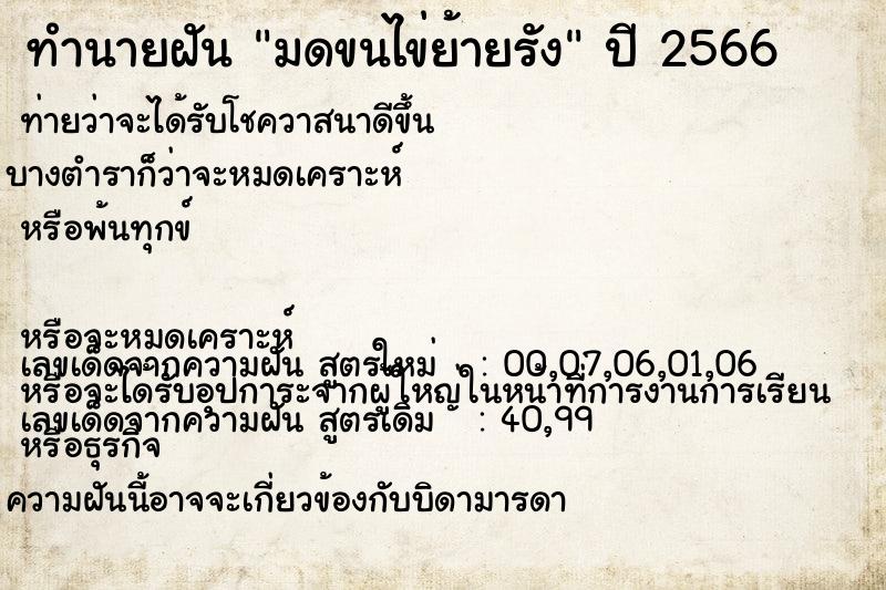 ทำนายฝันมดขนไข่ย้ายรัง ทำนายฝันทำนายฝันมดขนไข่ย้ายรัง