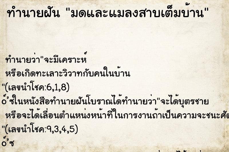 ทำนายฝัน มดและแมลงสาบเต็มบ้าน