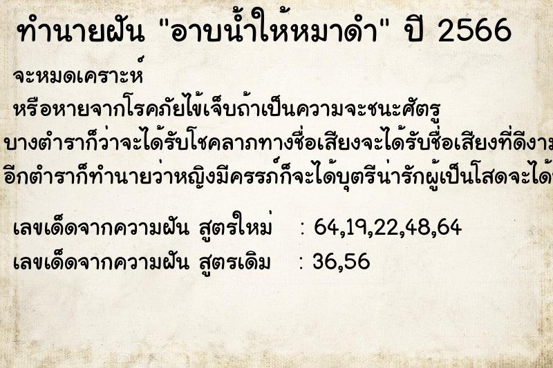 ทำนายฝัน อาบน้ำให้หมาดำ