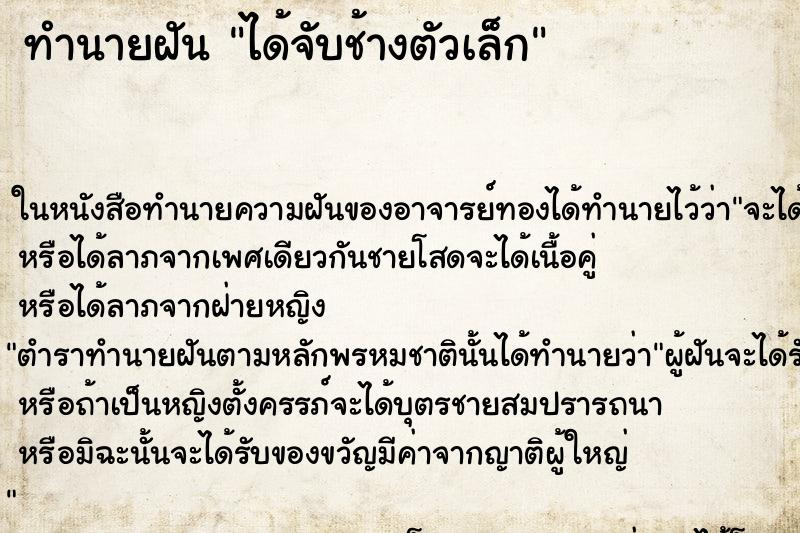 ทำนายฝันทำนายฝันได้จับช้างตัวเล็ก