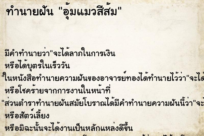 ทำนายฝัน อุ้มแมวสีส้ม ตำราโบราณ แม่นที่สุดในโลก