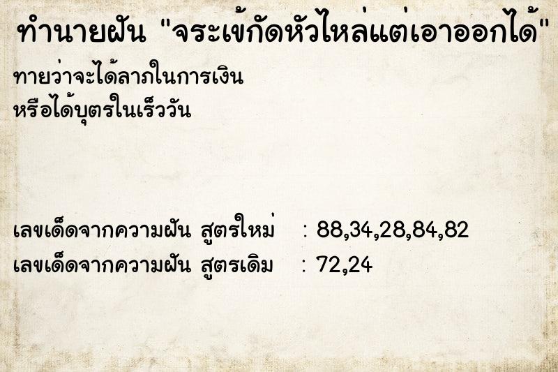 ทำนายฝัน จระเข้กัดหัวไหล่แต่เอาออกได้ ทำนายฝัน จระเข้กัดหัวไหล่แต่เอาออกได้