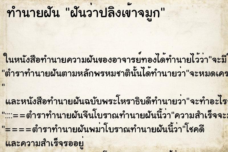 ทำนายฝันทำนายฝันฝันว่าปลิงเข้าจมูก