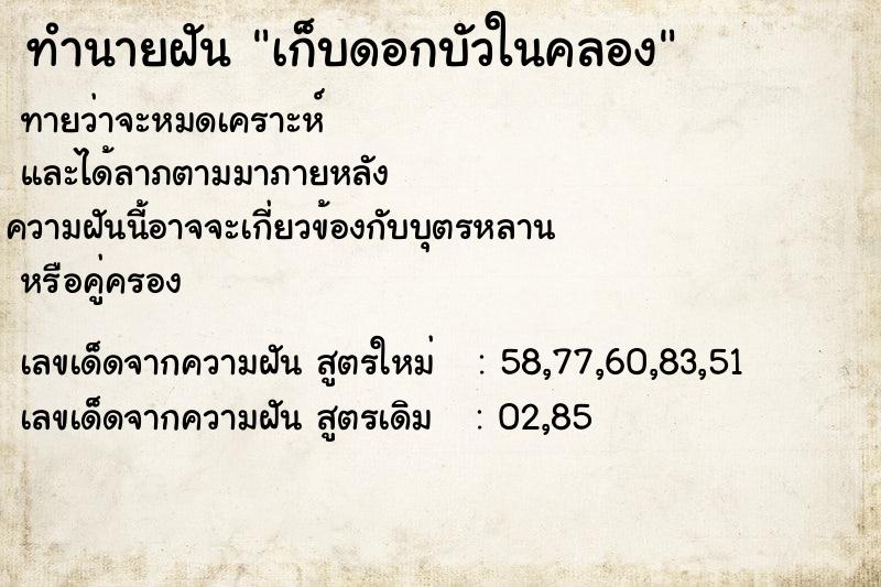 ทำนายฝันทำนายฝันเก็บดอกบัวในคลอง