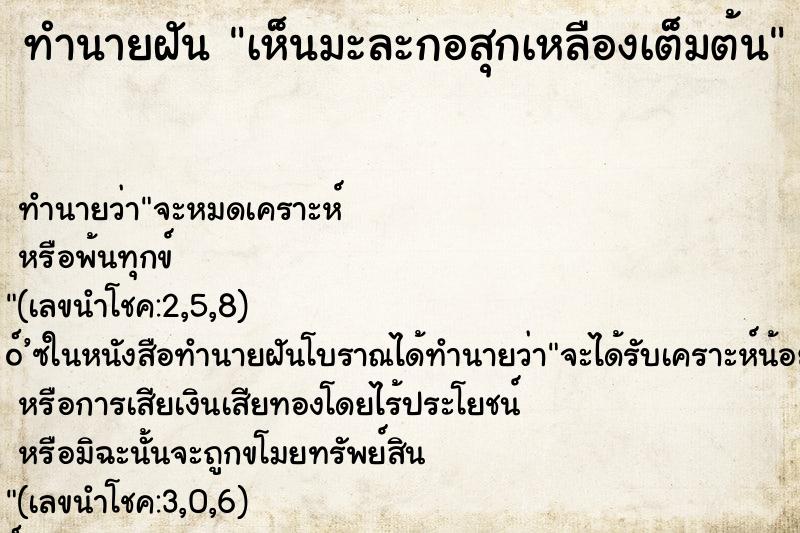 ทำนายฝัน เห็นมะละกอสุกเหลืองเต็มต้น