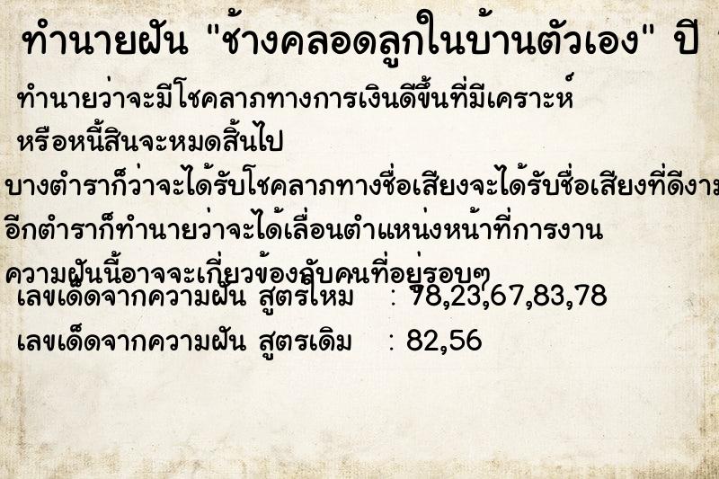 ทำนายฝัน ช้างคลอดลูกในบ้านตัวเอง แม่นๆ ฟรี ด้วยตำราหนังสือทำนายฝันโบราณ ทำนายฝันช้างคลอดลูกในบ้านตัวเอง