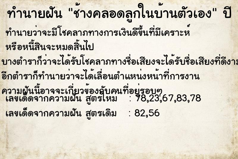 ทำนายฝัน ช้างคลอดลูกในบ้านตัวเอง ตำราโบราณ แม่นที่สุดในโลก