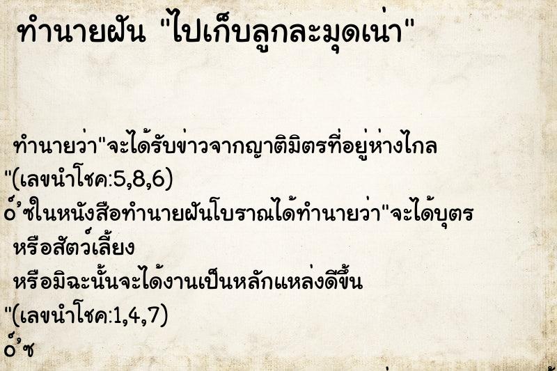 ทำนายฝันทำนายฝันไปเก็บลูกละมุดเน่า