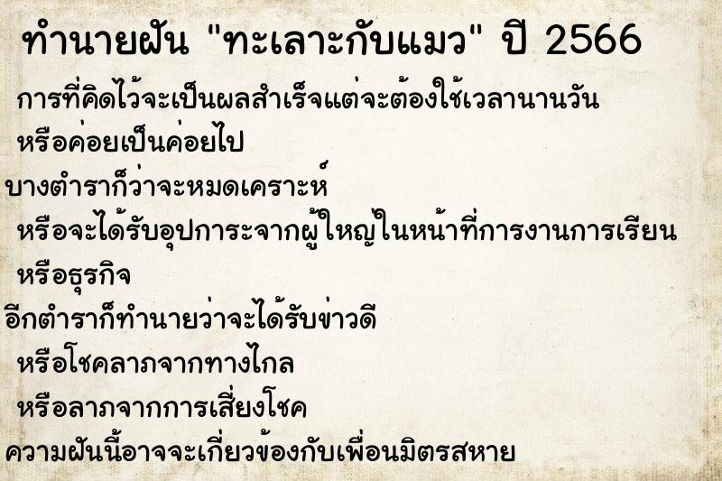 ทำนายฝัน ทะเลาะกับแมว ตำราโบราณ แม่นที่สุดในโลก