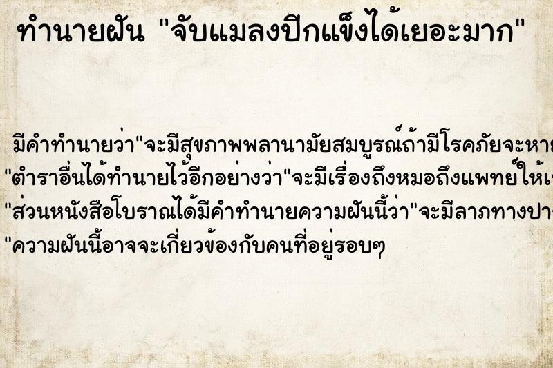 ทำนายฝัน จับแมลงปีกแข็งได้เยอะมาก ทำนายฝัน จับแมลงปีกแข็งได้เยอะมาก