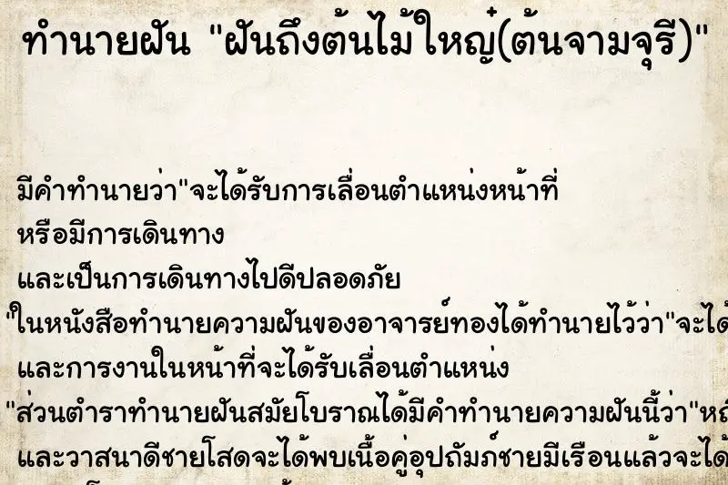 ทำนายฝัน ฝันถึงต้นไม้ใหญ๋(ต้นจามจุรี)