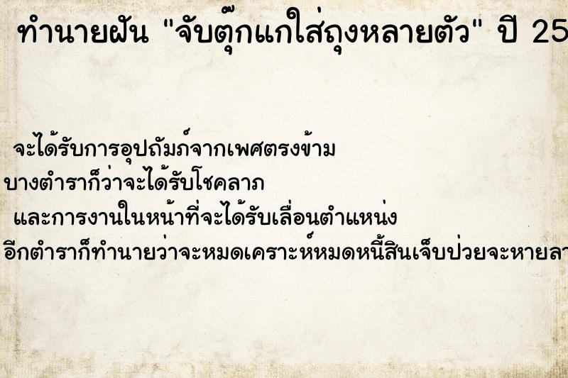 ทำนายฝัน จับตุ๊กแกใส่ถุงหลายตัว ทำนายฝัน จับตุ๊กแกใส่ถุงหลายตัว