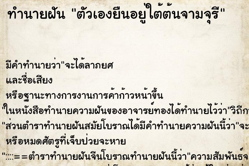 ทำนายฝันทำนายฝันตัวเองยืนอยู่ใต้ต้นจามจุรี