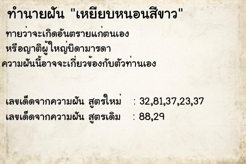 ทำนายฝันเหยียบหนอนสีขาว ทำนายฝันทำนายฝันเหยียบหนอนสีขาว