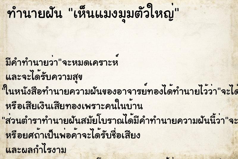 ทำนายฝัน เห็นแมงมุมตัวใหญ่ ทำนายฝัน เห็นแมงมุมตัวใหญ่