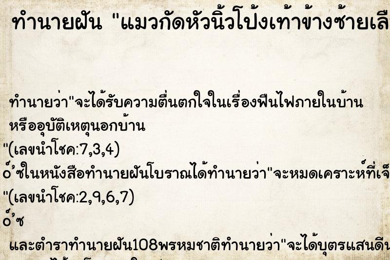 ทำนายฝัน แมวกัดหัวนิ้วโป้งเท้าข้างซ้ายเลือดออก