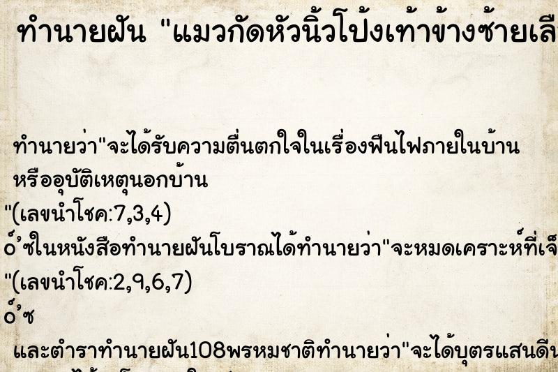 ทำนายฝัน แมวกัดหัวนิ้วโป้งเท้าข้างซ้ายเลือดออก ตำราโบราณ แม่นที่สุดในโลก