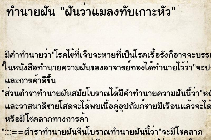 ทำนายฝันฝันว่าแมลงทับเกาะหัว ทำนายฝันทำนายฝันฝันว่าแมลงทับเกาะหัว