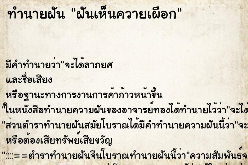 ทำนายฝัน ฝันเห็นควายเผือก ทำนายฝัน ฝันเห็นควายเผือก