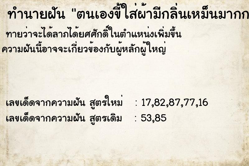 ทำนายฝันตนเองขี้ใส่ผ้ามีกลิ่นเหม็นมากกระดาษชำระเช็ด ทำนายฝันทำนายฝันตนเองขี้ใส่ผ้ามีกลิ่นเหม็นมากกระดาษชำระเช็ด