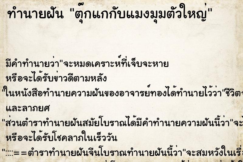 ทำนายฝัน ตุ๊กแกกับแมงมุมตัวใหญ่ ทำนายฝัน ตุ๊กแกกับแมงมุมตัวใหญ่