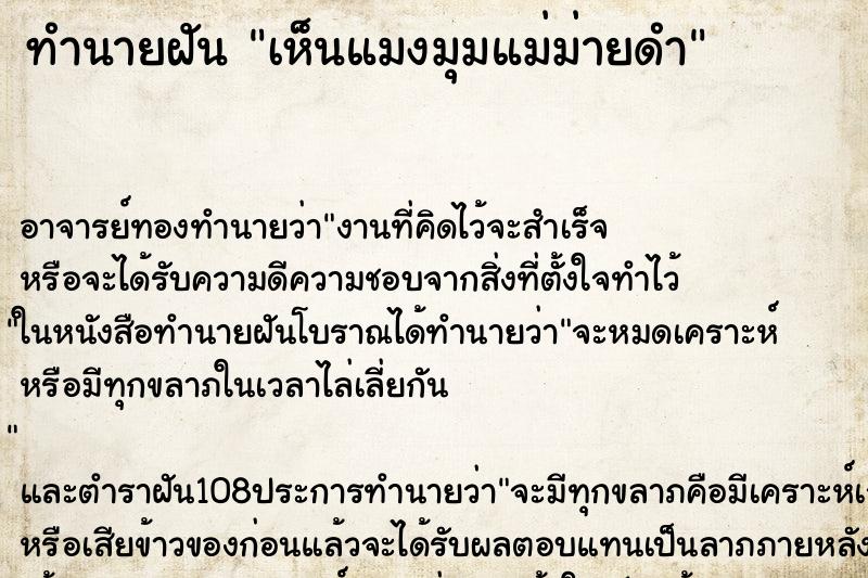ทำนายฝัน เห็นแมงมุมแม่ม่ายดำ ทำนายฝัน เห็นแมงมุมแม่ม่ายดำ