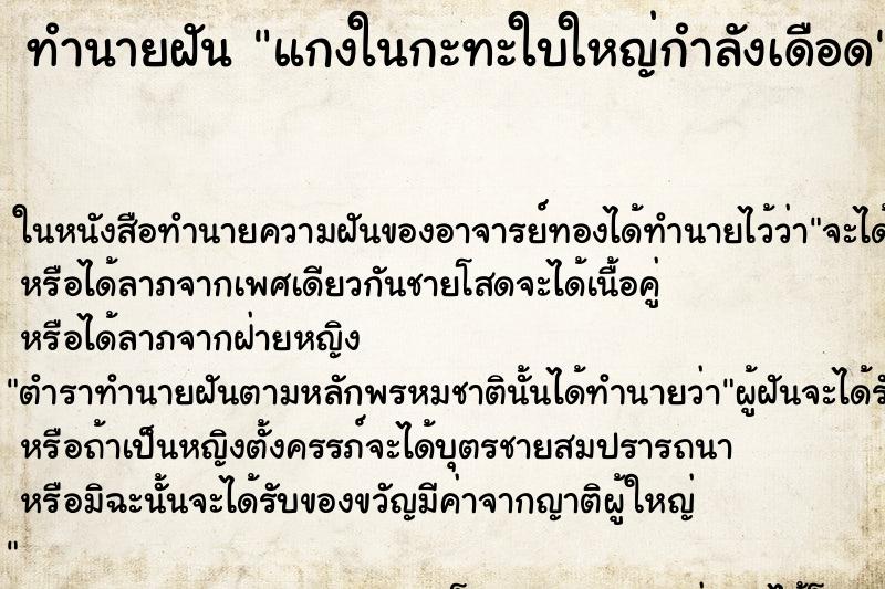 ทำนายฝัน แกงในกะทะใบใหญ่กำลังเดือด ทำนายฝัน แกงในกะทะใบใหญ่กำลังเดือด