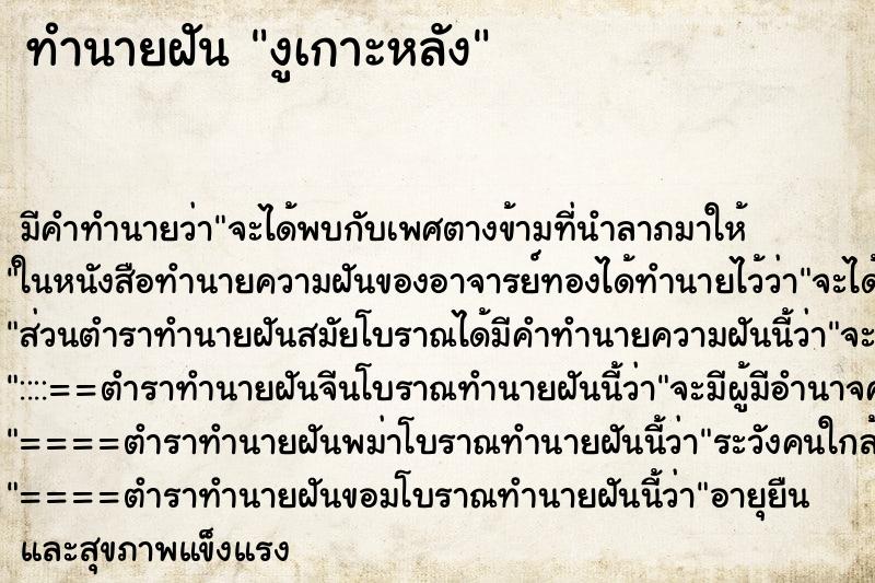 ทำนายฝัน งูเกาะหลัง ทำนายฝัน งูเกาะหลัง