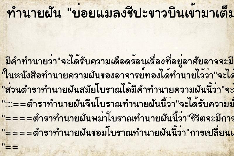 ทำนายฝันทำนายฝันบ่อยแมลงชีปะขาวบินเข้ามาเต็มบ้าน