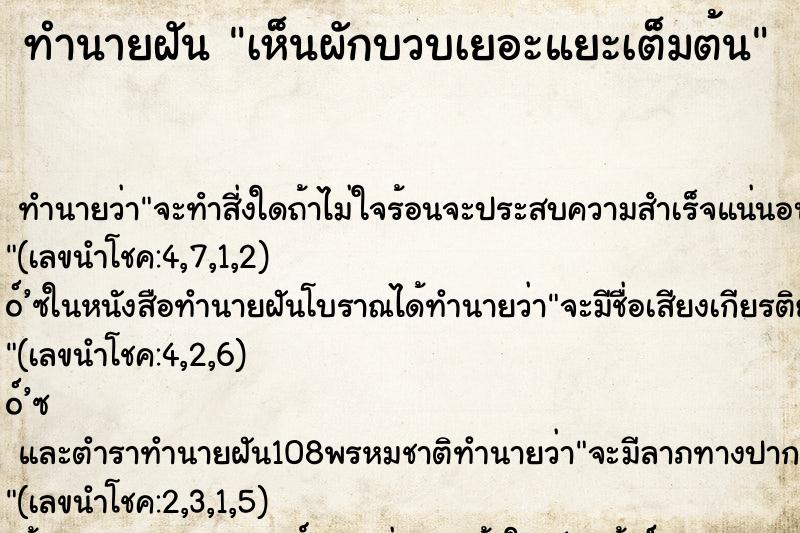 ทำนายฝัน เห็นผักบวบเยอะแยะเต็มต้น