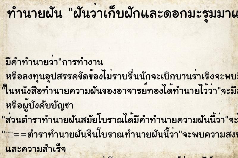 ทำนายฝันฝันว่าเก็บฝักและดอกมะรุมมาแกงกิน ทำนายฝันทำนายฝันฝันว่าเก็บฝักและดอกมะรุมมาแกงกิน
