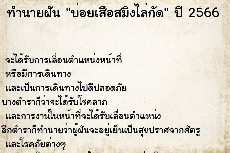 ทำนายฝันทำนายฝันบ่อยเสือสมิงไล่กัด