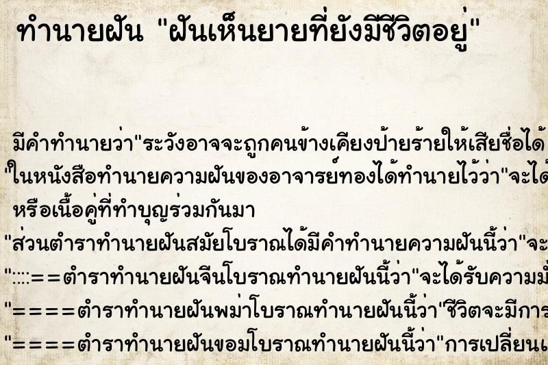 ทำนายฝัน ฝันเห็นยายที่ยังมีชีวิตอยู่ ทำนายฝัน ฝันเห็นยายที่ยังมีชีวิตอยู่