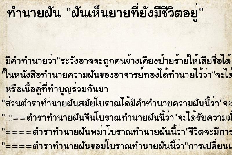 ทำนายฝัน ฝันเห็นยายที่ยังมีชีวิตอยู่ ตำราโบราณ แม่นที่สุดในโลก