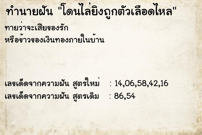 ทำนายฝันโดนไล่ยิงถูกตัวเลือดไหล ทำนายฝันทำนายฝันโดนไล่ยิงถูกตัวเลือดไหล