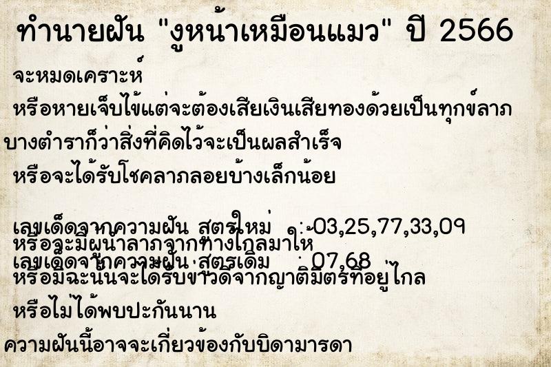 ทำนายฝัน งูหน้าเหมือนแมว ทำนายฝัน งูหน้าเหมือนแมว