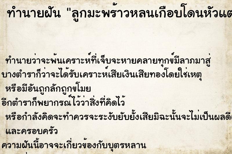 ทำนายฝัน ลูกมะพร้าวหลนเกือบโดนหัวแต่แปลกต้นมะพร้าวคือเสาธง ทำนายฝัน ลูกมะพร้าวหลนเกือบโดนหัวแต่แปลกต้นมะพร้าวคือเสาธง