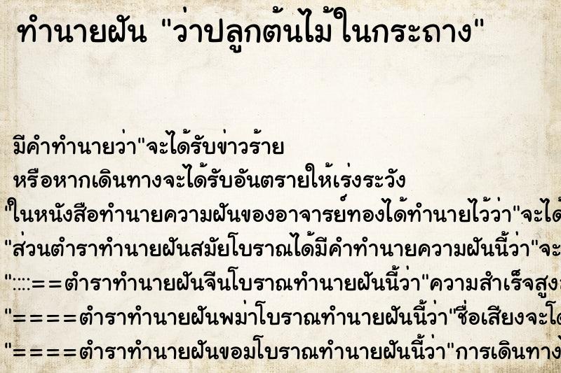 ทำนายฝันว่าปลูกต้นไม้ในกระถาง ทำนายฝันทำนายฝันว่าปลูกต้นไม้ในกระถาง
