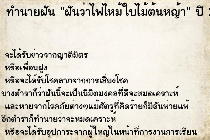 ทำนายฝันฝันว่าไฟไหม้ใบไม้ต้นหญ้า ทำนายฝันทำนายฝันฝันว่าไฟไหม้ใบไม้ต้นหญ้า