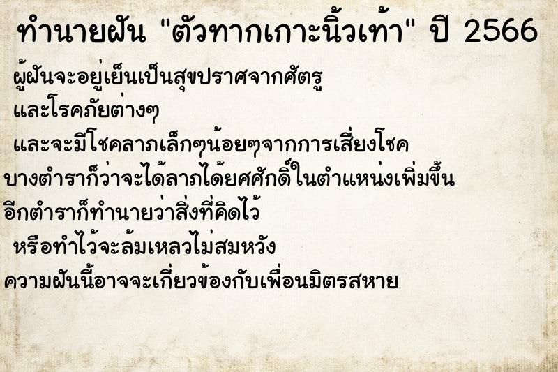 ทำนายฝันตัวทากเกาะนิ้วเท้า ทำนายฝันทำนายฝันตัวทากเกาะนิ้วเท้า