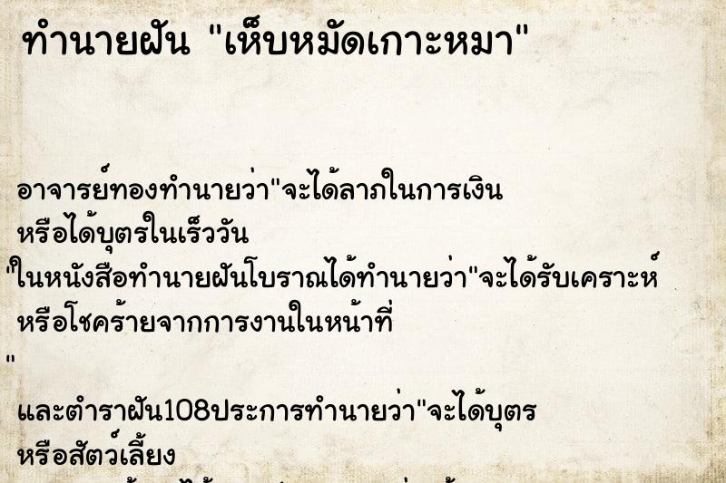 ทำนายฝันทำนายฝันเห็บหมัดเกาะหมา