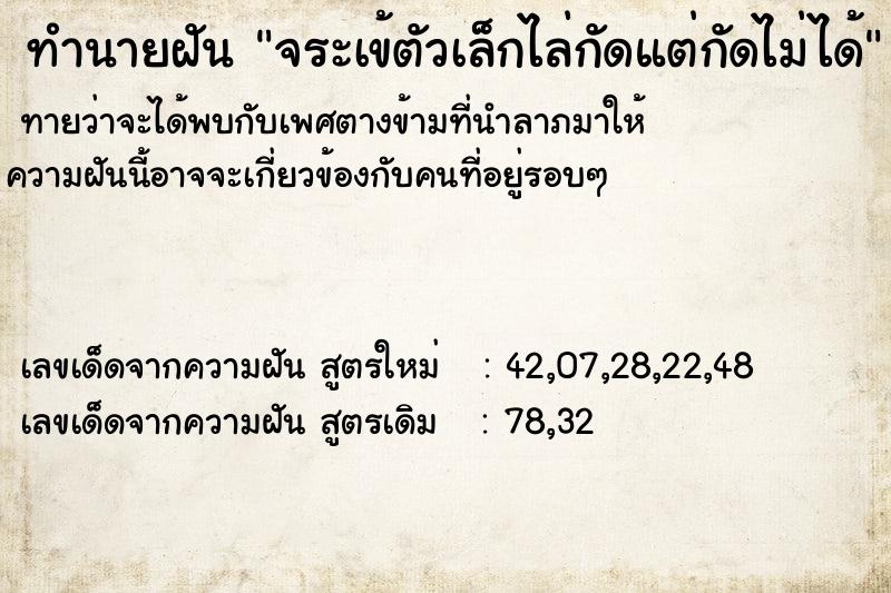 ทำนายฝัน จระเข้ตัวเล็กไล่กัดแต่กัดไม่ได้ ทำนายฝัน จระเข้ตัวเล็กไล่กัดแต่กัดไม่ได้