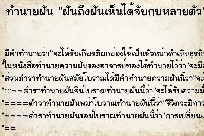 ทำนายฝันฝันถึงฝันเห็นได้จับกบหลายตัว ทำนายฝันทำนายฝันฝันถึงฝันเห็นได้จับกบหลายตัว