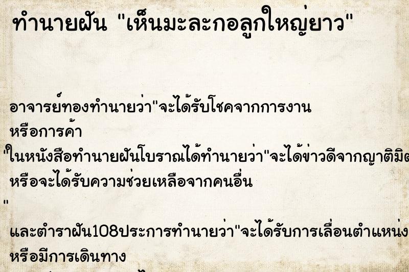 ทำนายฝันเห็นมะละกอลูกใหญ่ยาว ทำนายฝันทำนายฝันเห็นมะละกอลูกใหญ่ยาว
