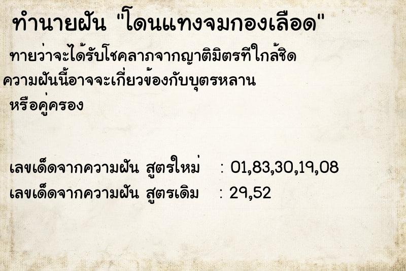 ทำนายฝันโดนแทงจมกองเลือด ทำนายฝันทำนายฝันโดนแทงจมกองเลือด