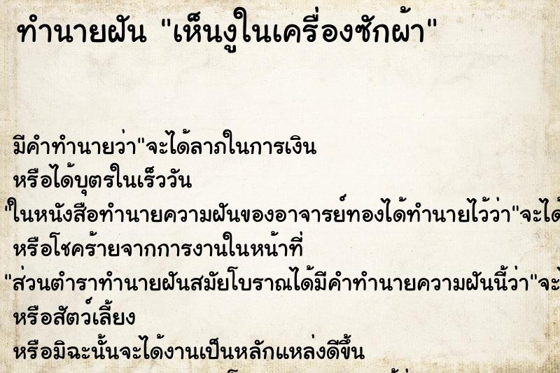 ทำนายฝัน เห็นงูในเครื่องซักผ้า ตำราโบราณ แม่นที่สุดในโลก