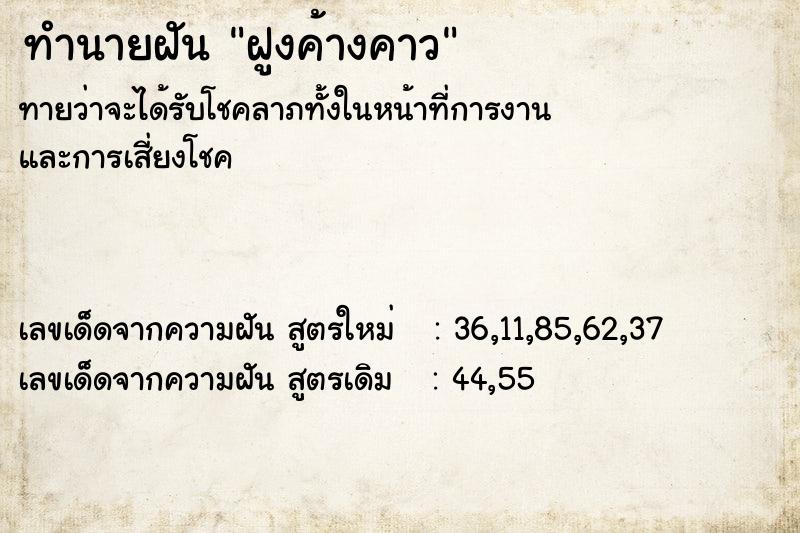 ทำนายฝัน ฝูงค้างคาว ทำนายฝัน ฝูงค้างคาว