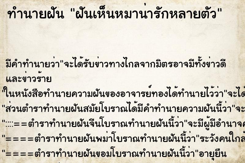ทำนายฝันฝันเห็นหมาน่ารักหลายตัว ทำนายฝันทำนายฝันฝันเห็นหมาน่ารักหลายตัว