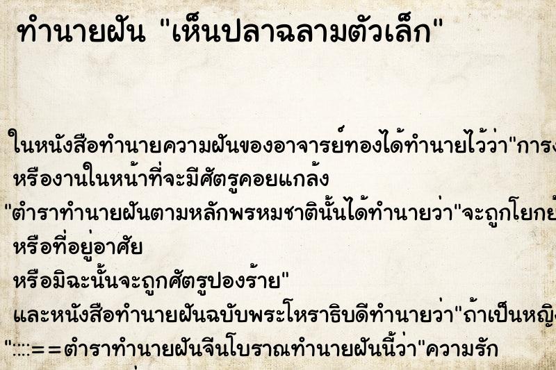 ทำนายฝันทำนายฝันเห็นปลาฉลามตัวเล็ก