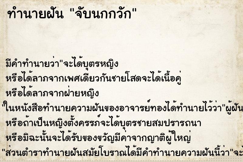 ทำนายฝัน จับนกกวัก ทำนายฝัน จับนกกวัก